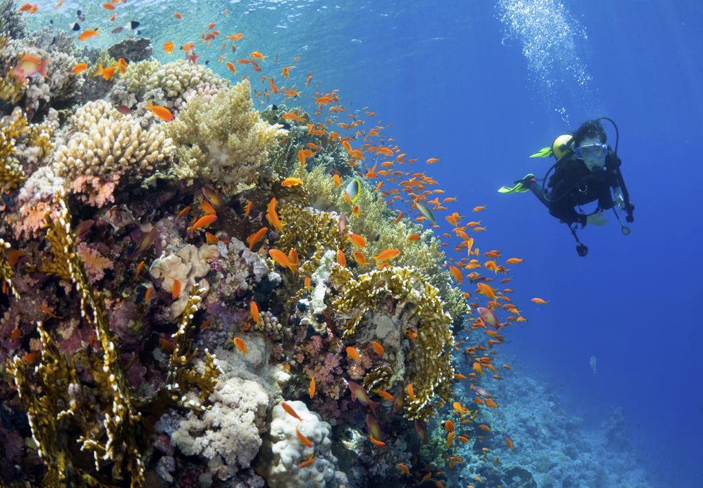 Yasawa Island Resort & Spa Bukama Eksteriør bilde