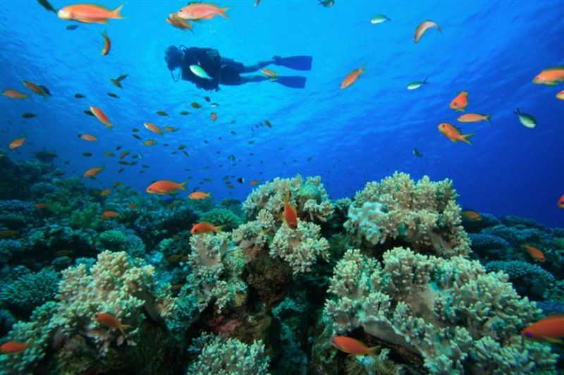 Yasawa Island Resort & Spa Bukama Eksteriør bilde